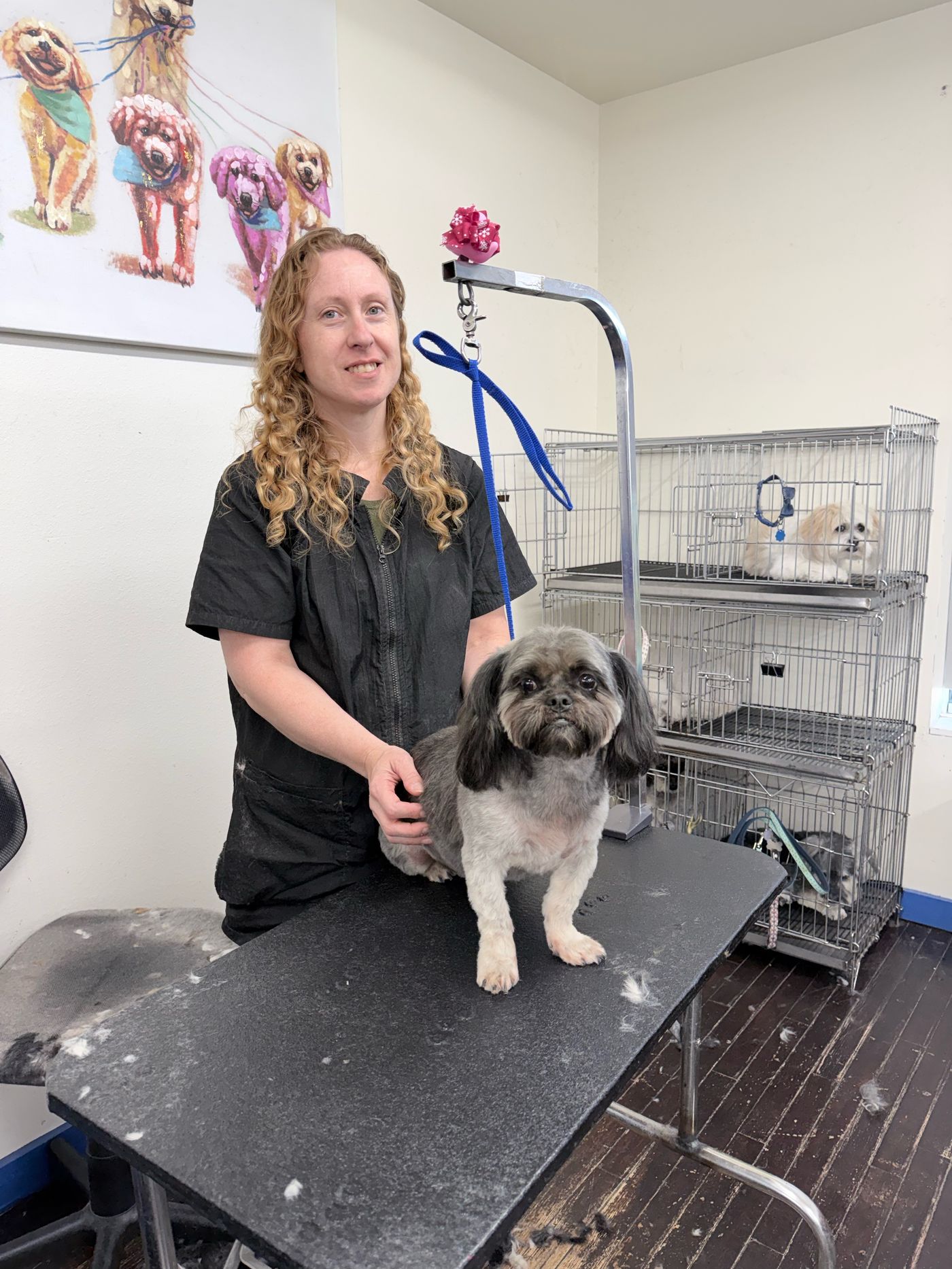 Groomer with a freshly styled small dog